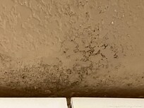 Mold over the kitchen cabinets.