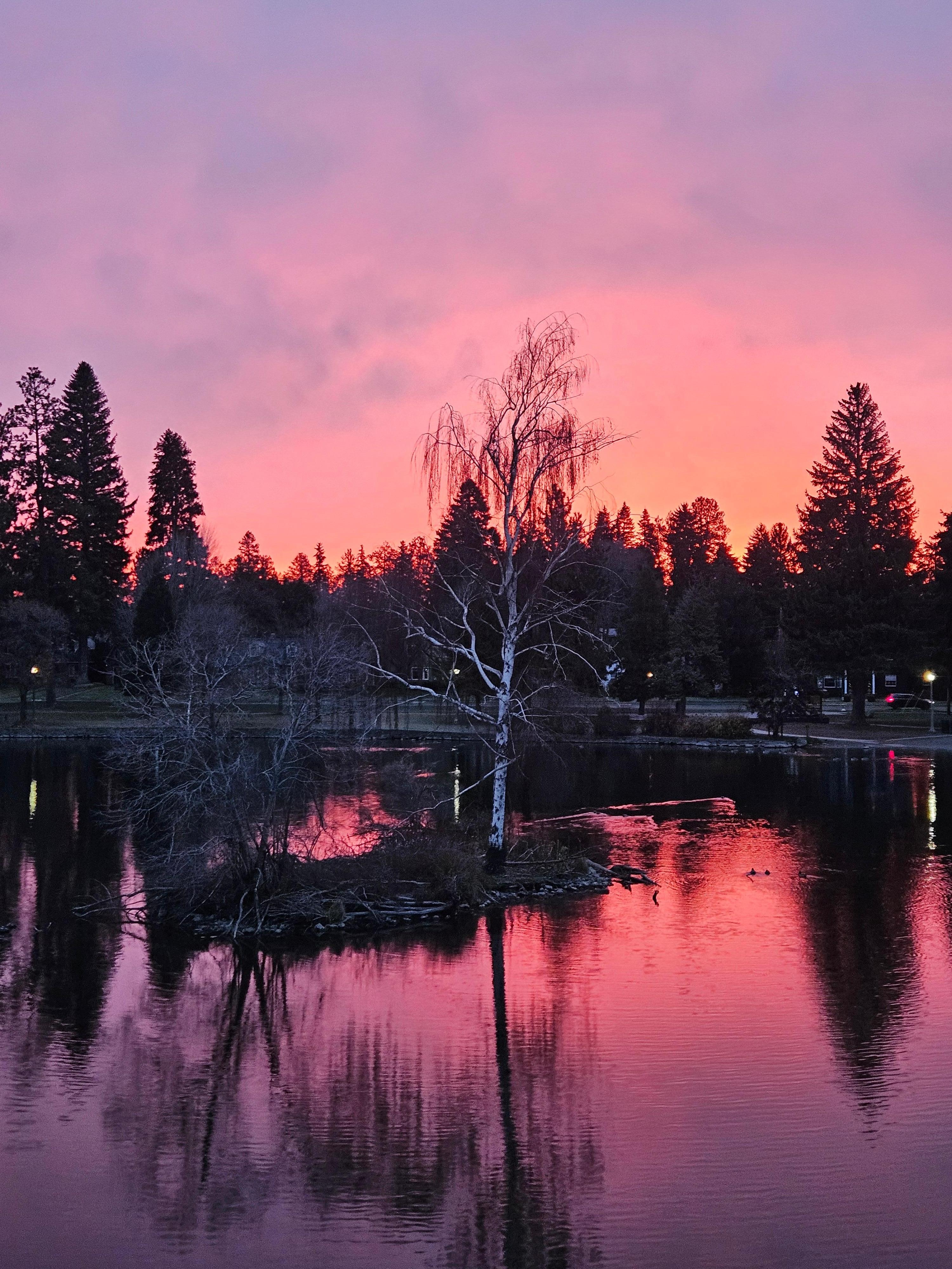 Sunrise view from the primary balcony 😍 