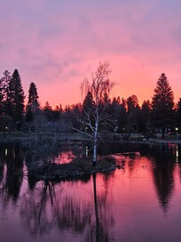 Sunrise view from the primary balcony 😍