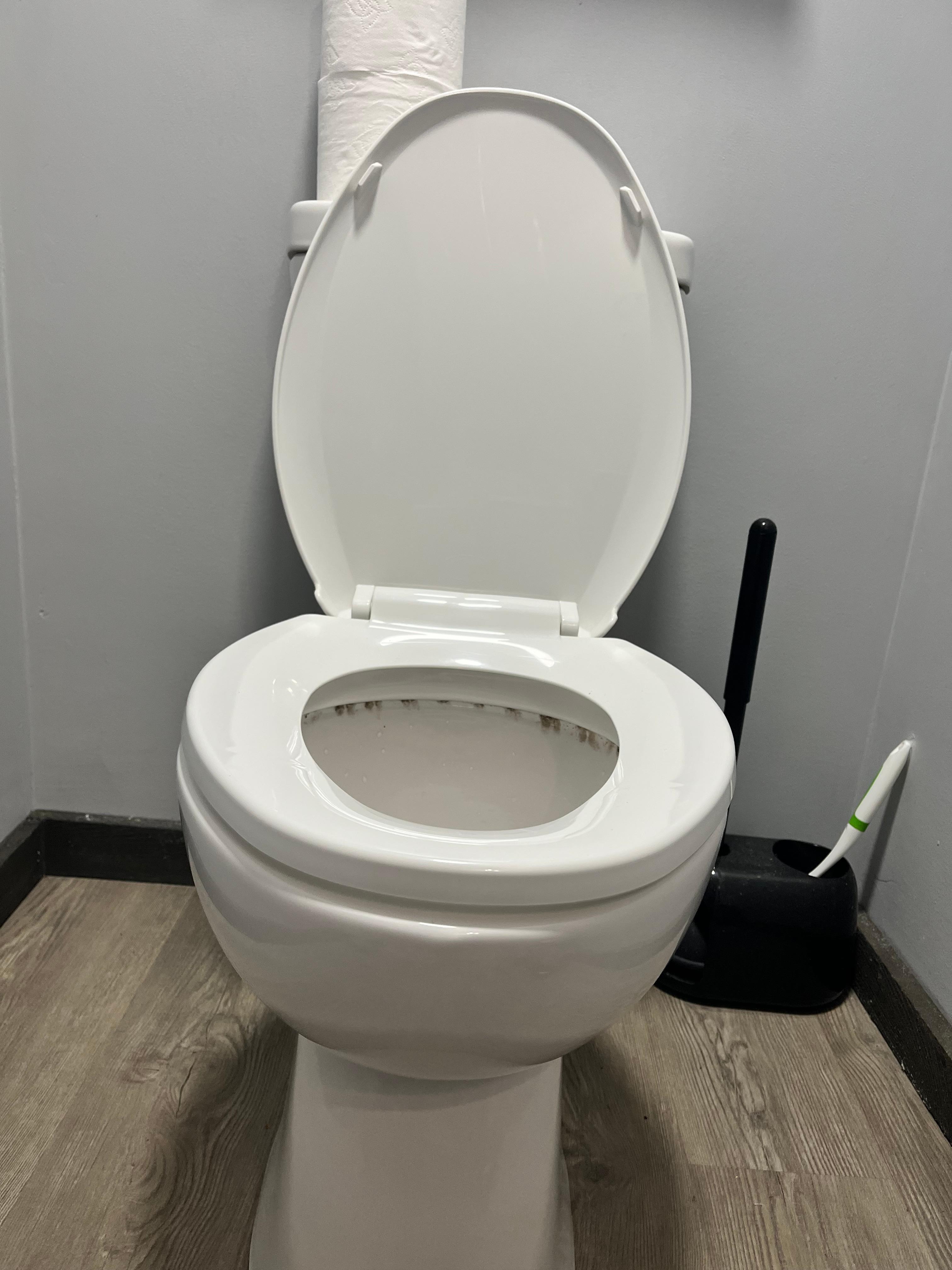 Mold under toilet