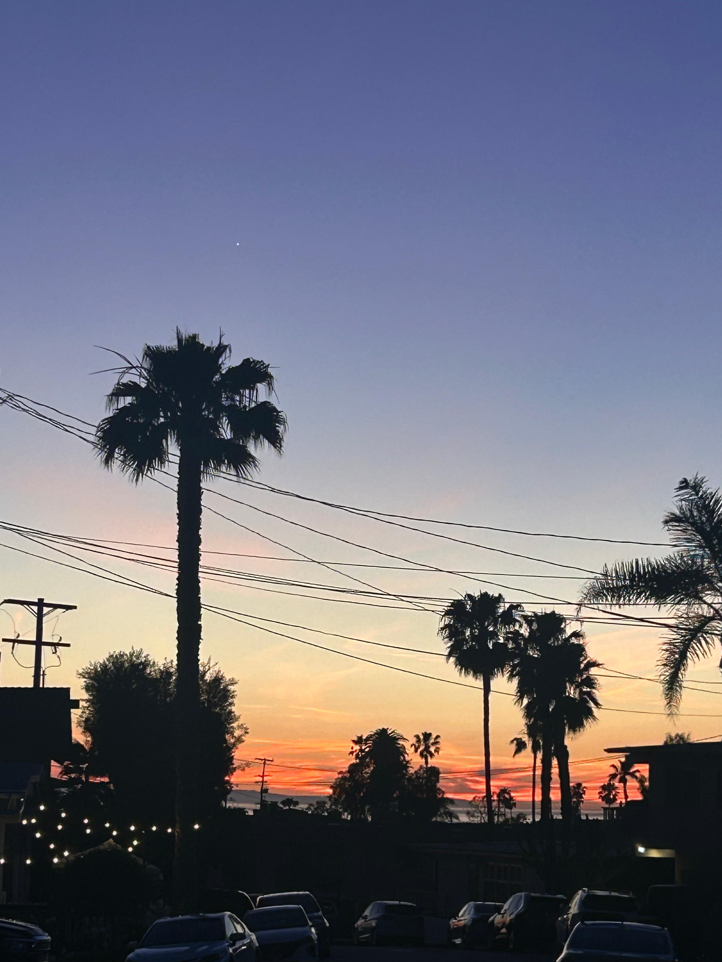 Taken from in front of the house 