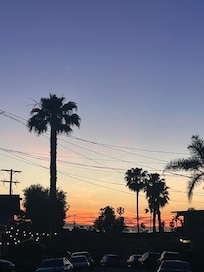 Taken from in front of the house