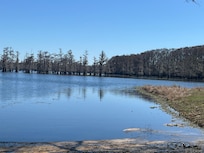 Beautiful view of the end of the Lake.