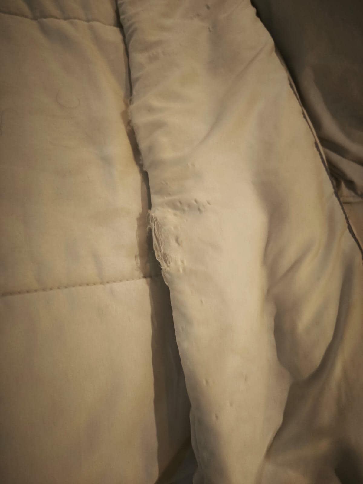 El edredón estaba viejo, roto y amarillento.