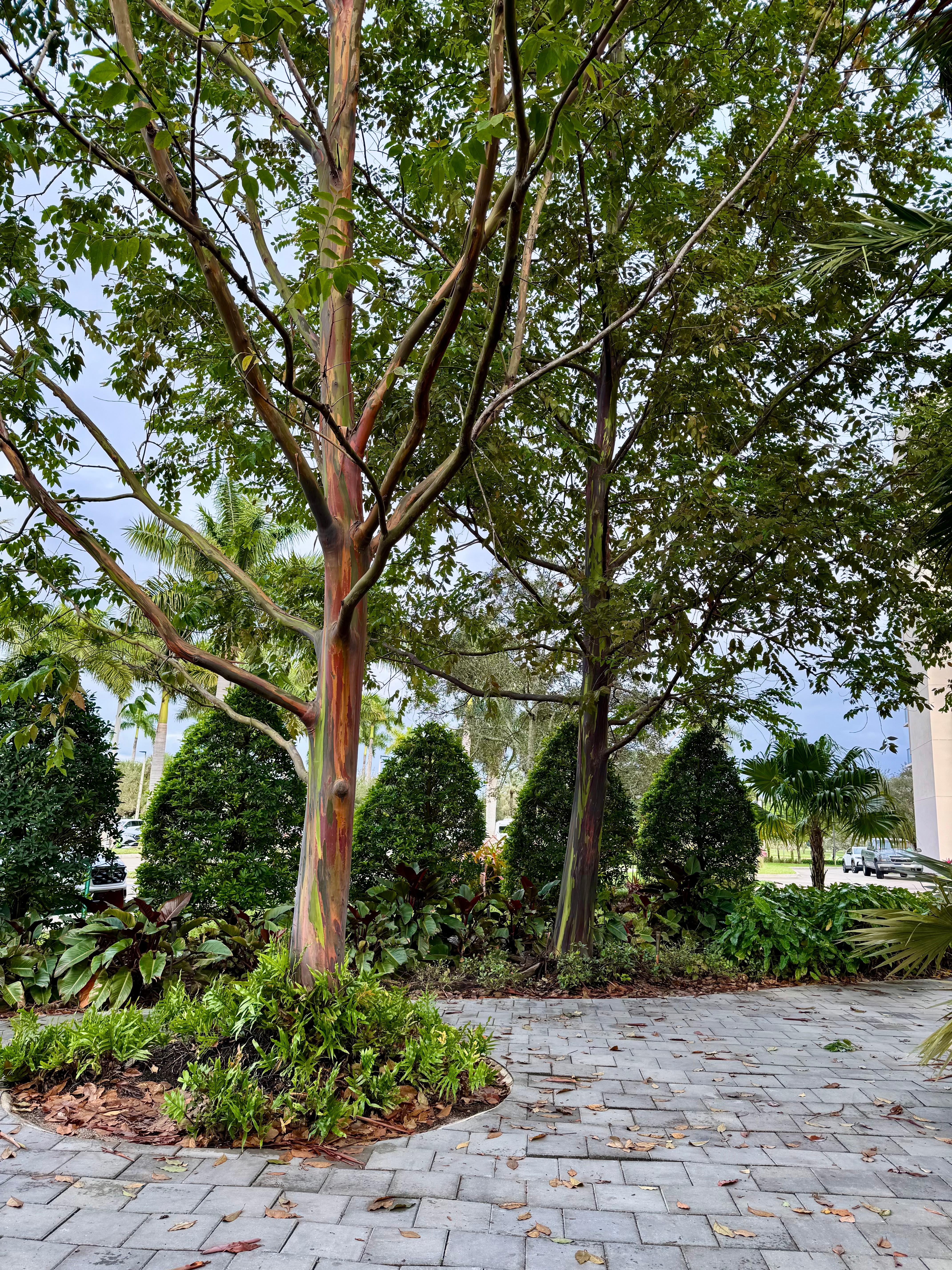 Beautiful landscaping 