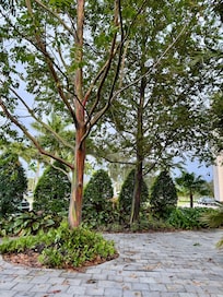 Beautiful landscaping