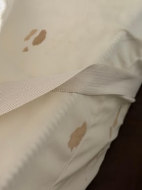 There was more. Too afraid to touch anything else after a certain point.