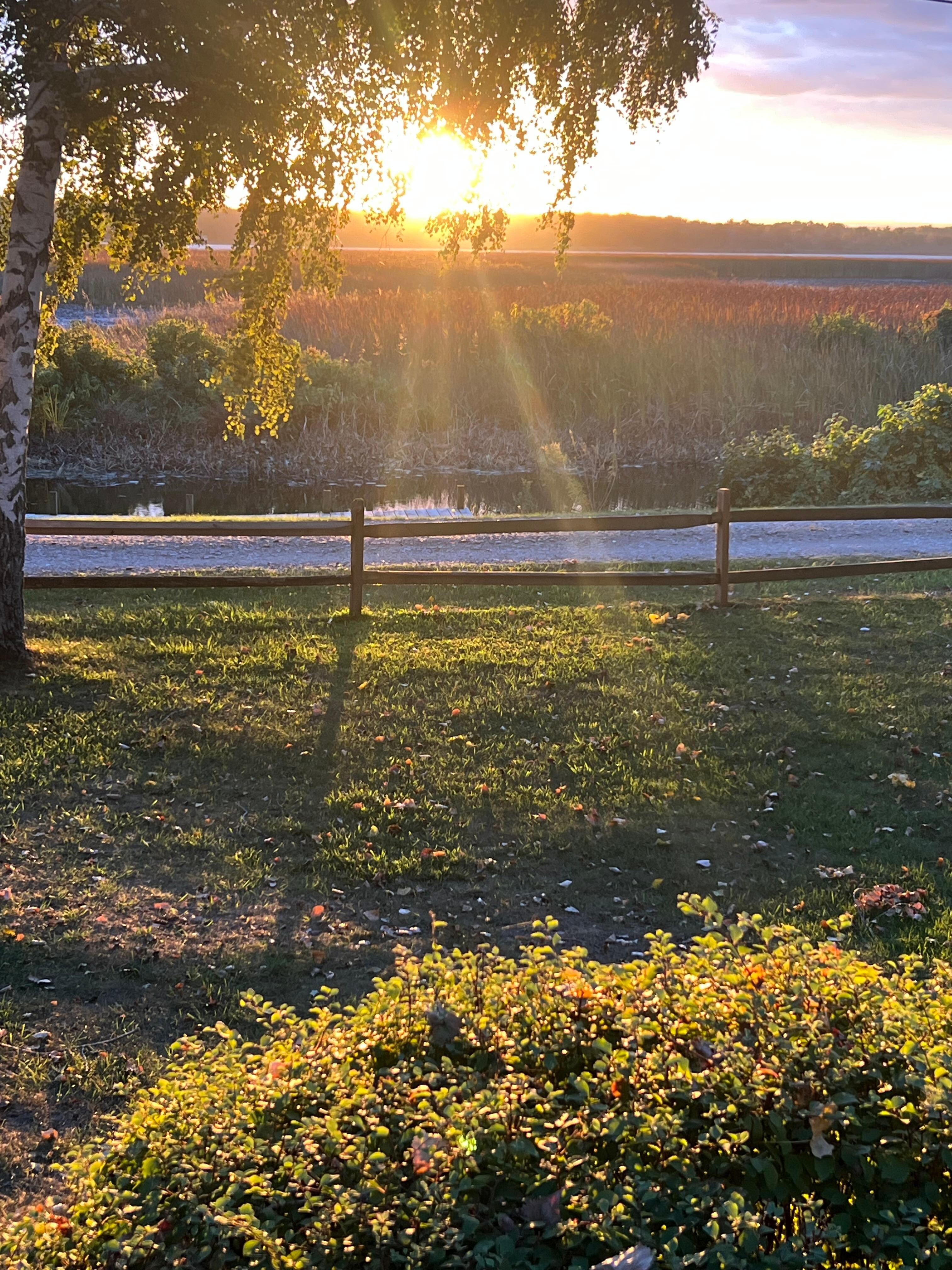 Sunrise on the front deck