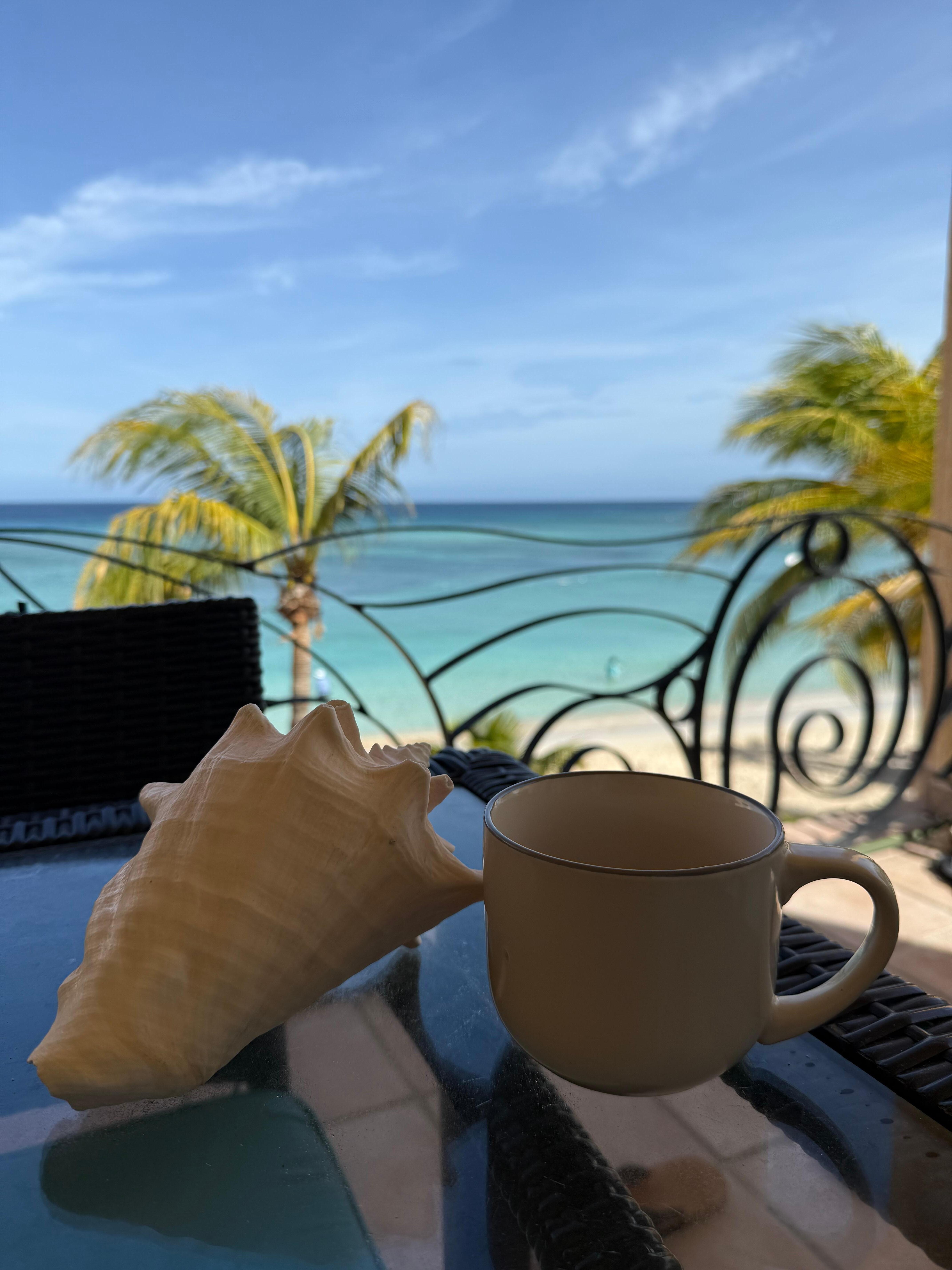 Morning coffee on the patio… beautiful view