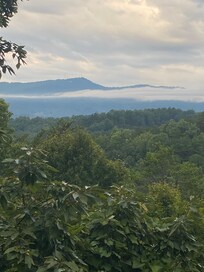 Our view