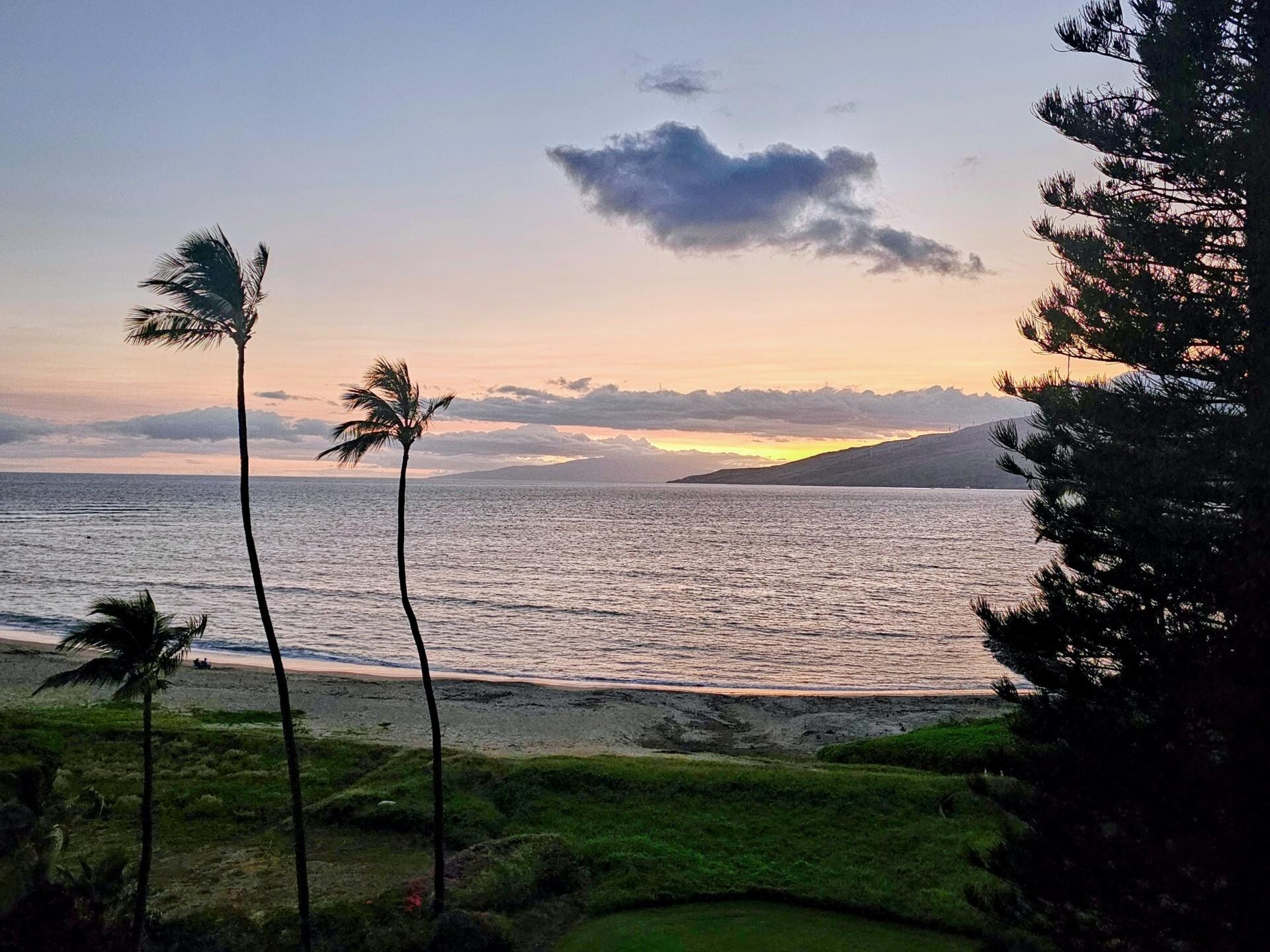 View off Lanai