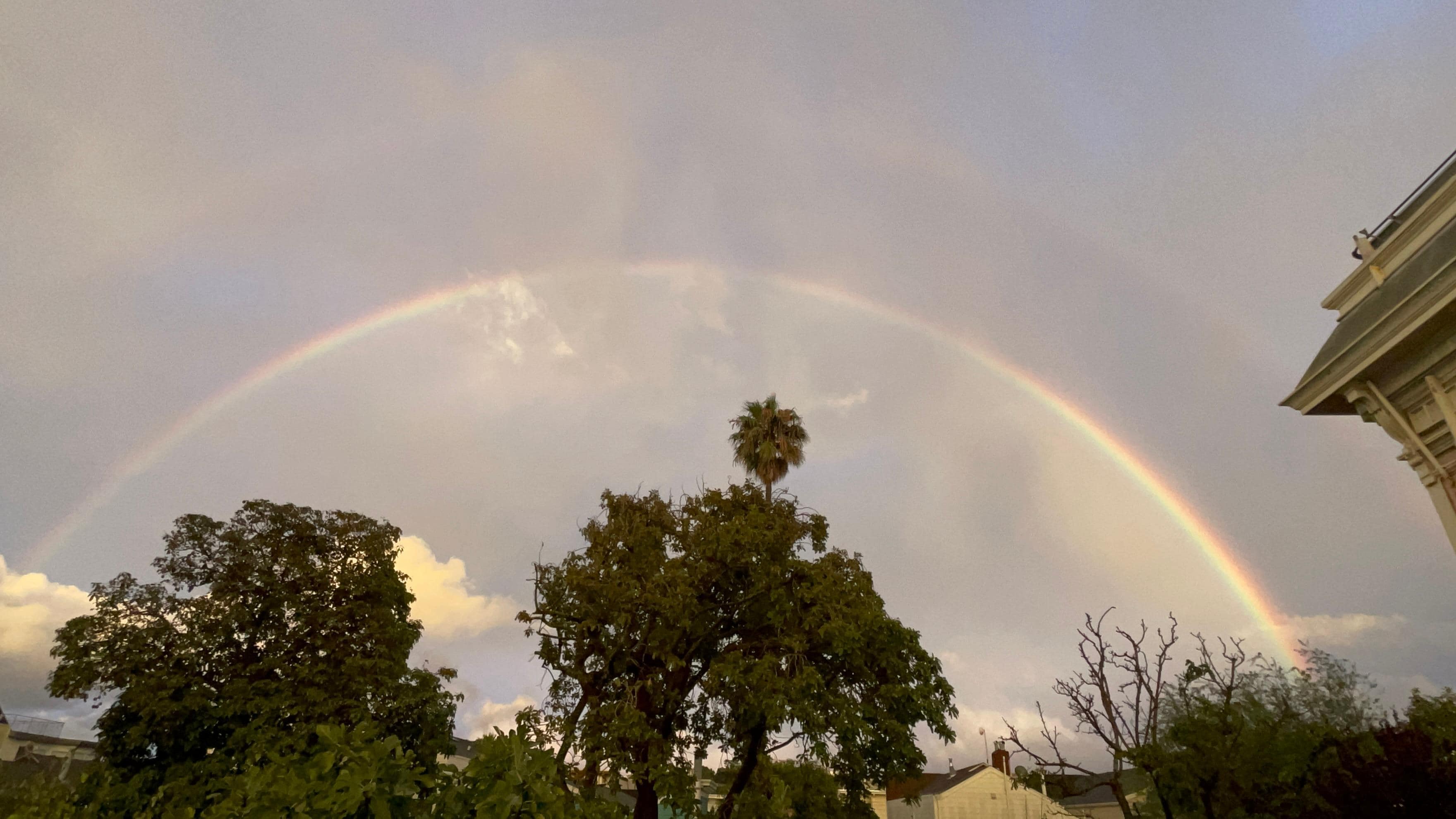 お部屋から虹が🌈見えて嬉しくなりました