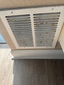 Rust on the vent
