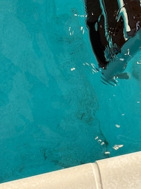 Dirt in pool
Gross