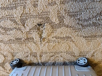 Holes in the carpet