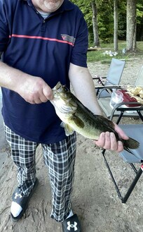 14 inch bass