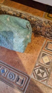 Nid de fourmis dans la cuisine parce que nourriture parterre