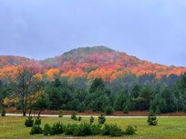 Surrounding beauty