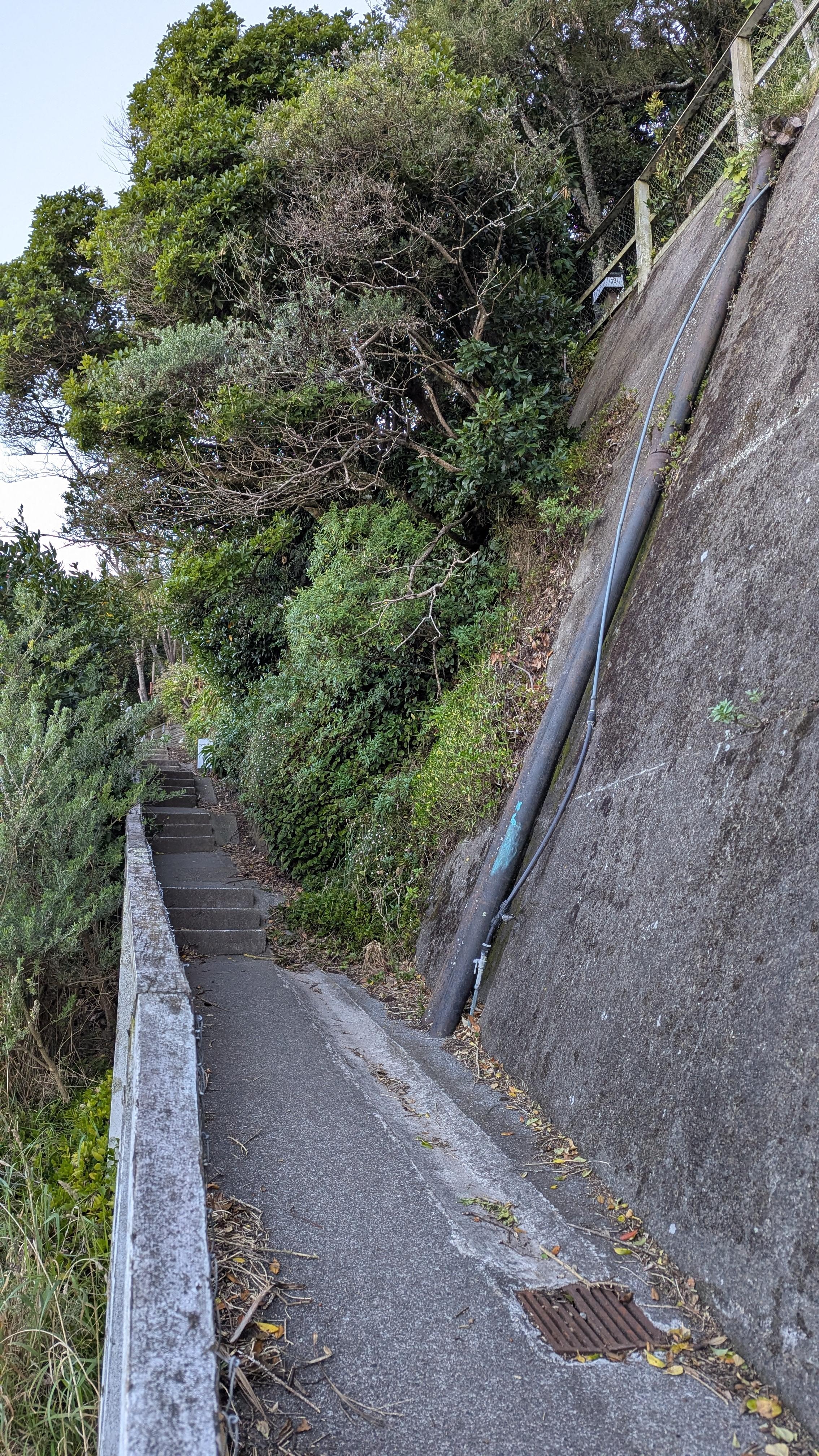 Some of the steps you climb to get to the house