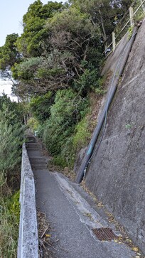 Some of the steps you climb to get to the house