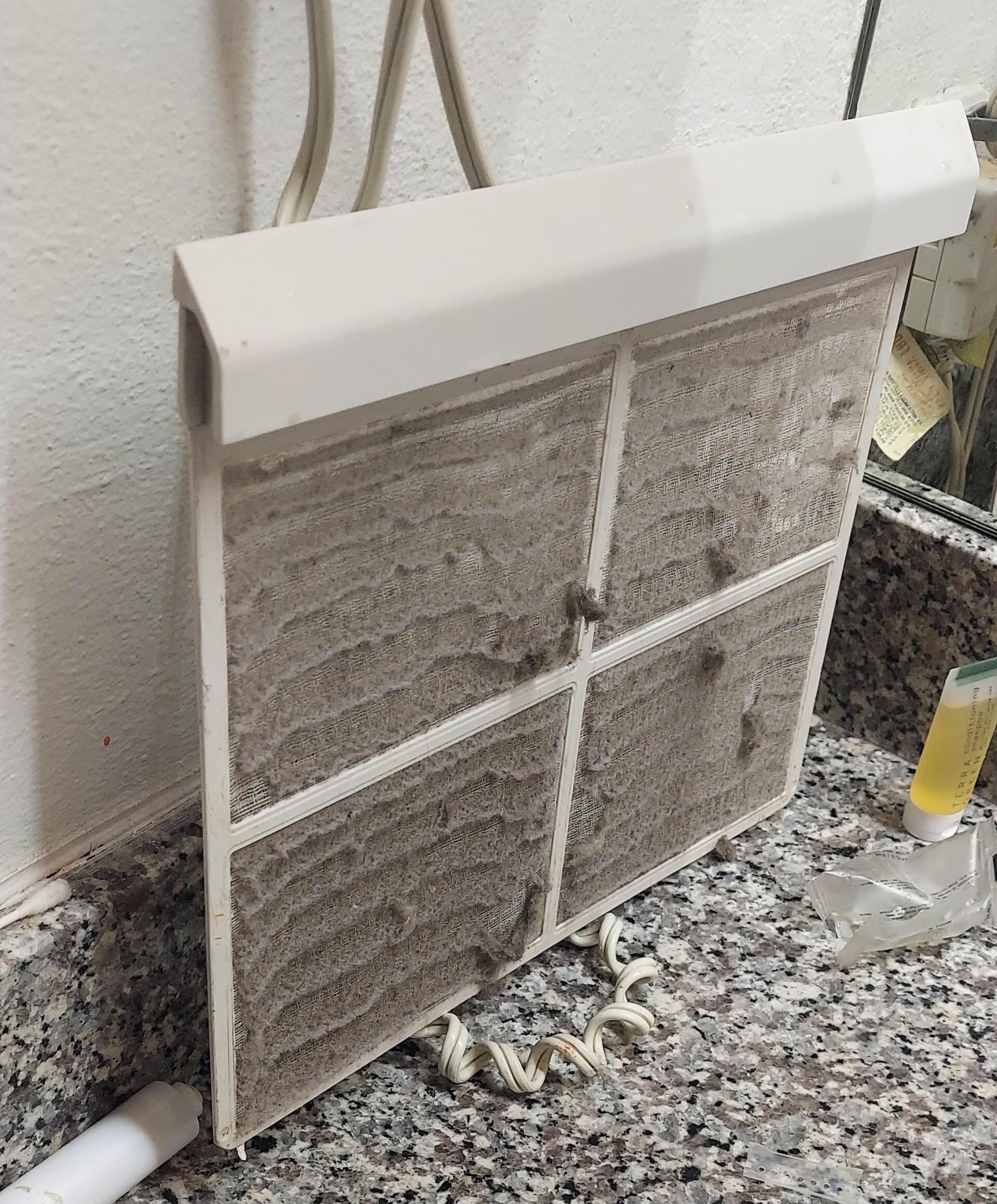 The Filter hasn't been cleaned for months. Unacceptable!