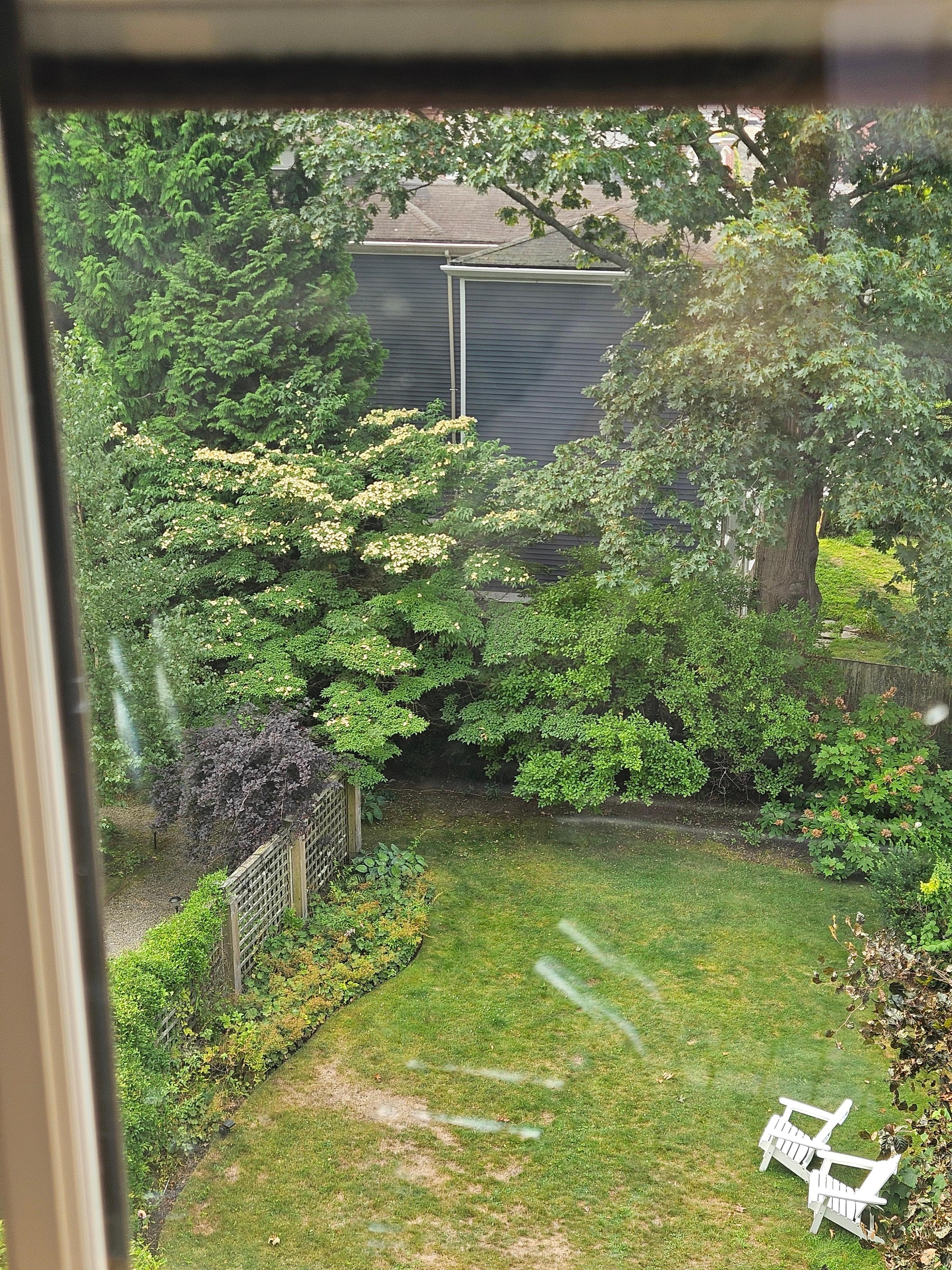 View of the garden from our room.