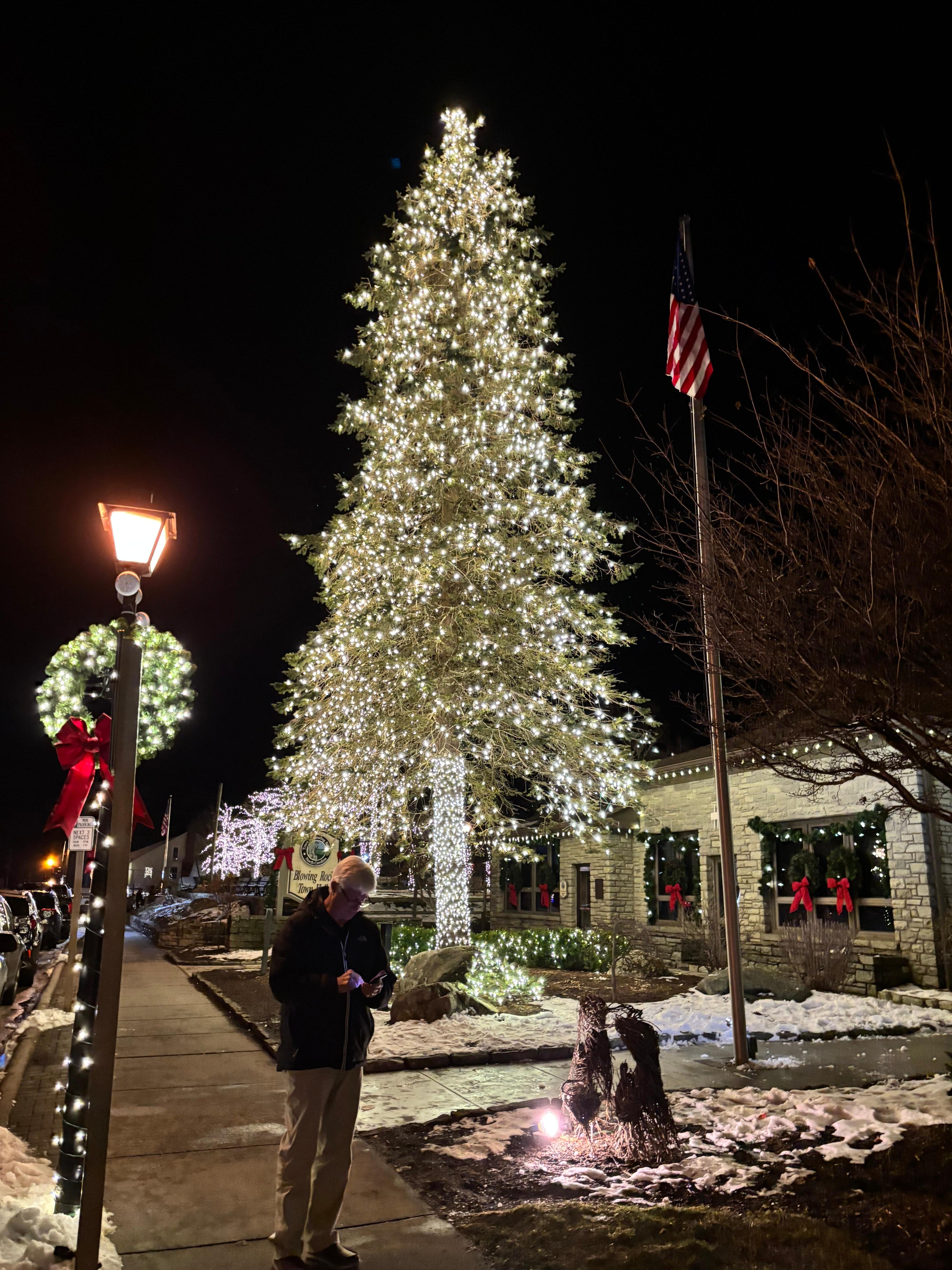 View of Town Hall from the Historical Hotel. 