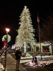 View of Town Hall from the Historical Hotel.