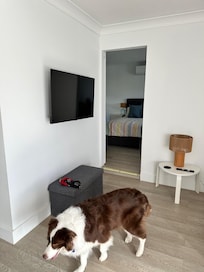 Pet friendly floors
