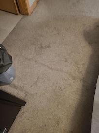 Some of the master carpet stains