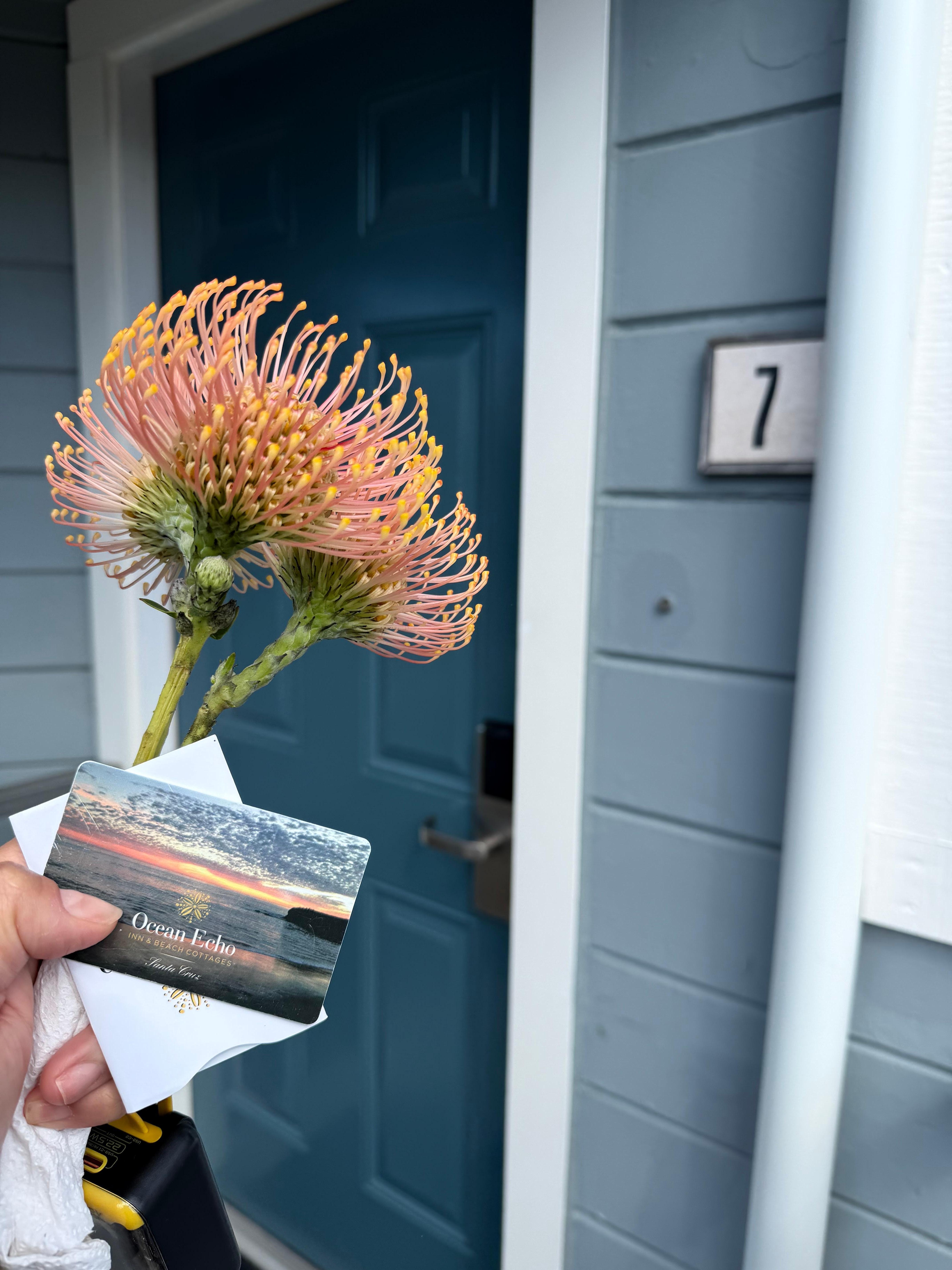 Our room along with the flowers Monica so kindly cut for me. 
