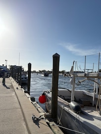 Tarpon Springs Sponge Docks
