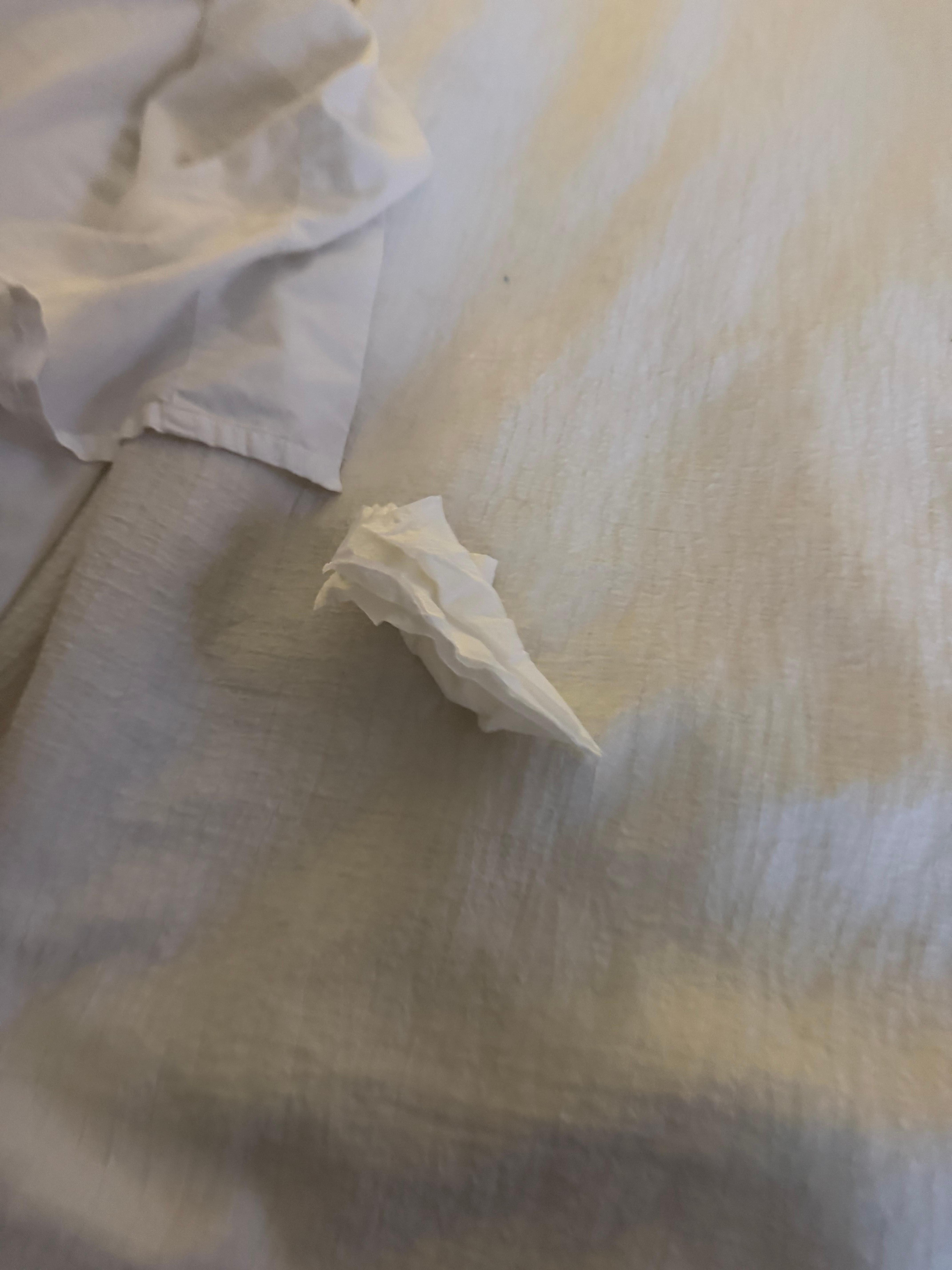 Dirty used Tissue found in the sheets 