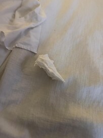 Dirty used Tissue found in the sheets