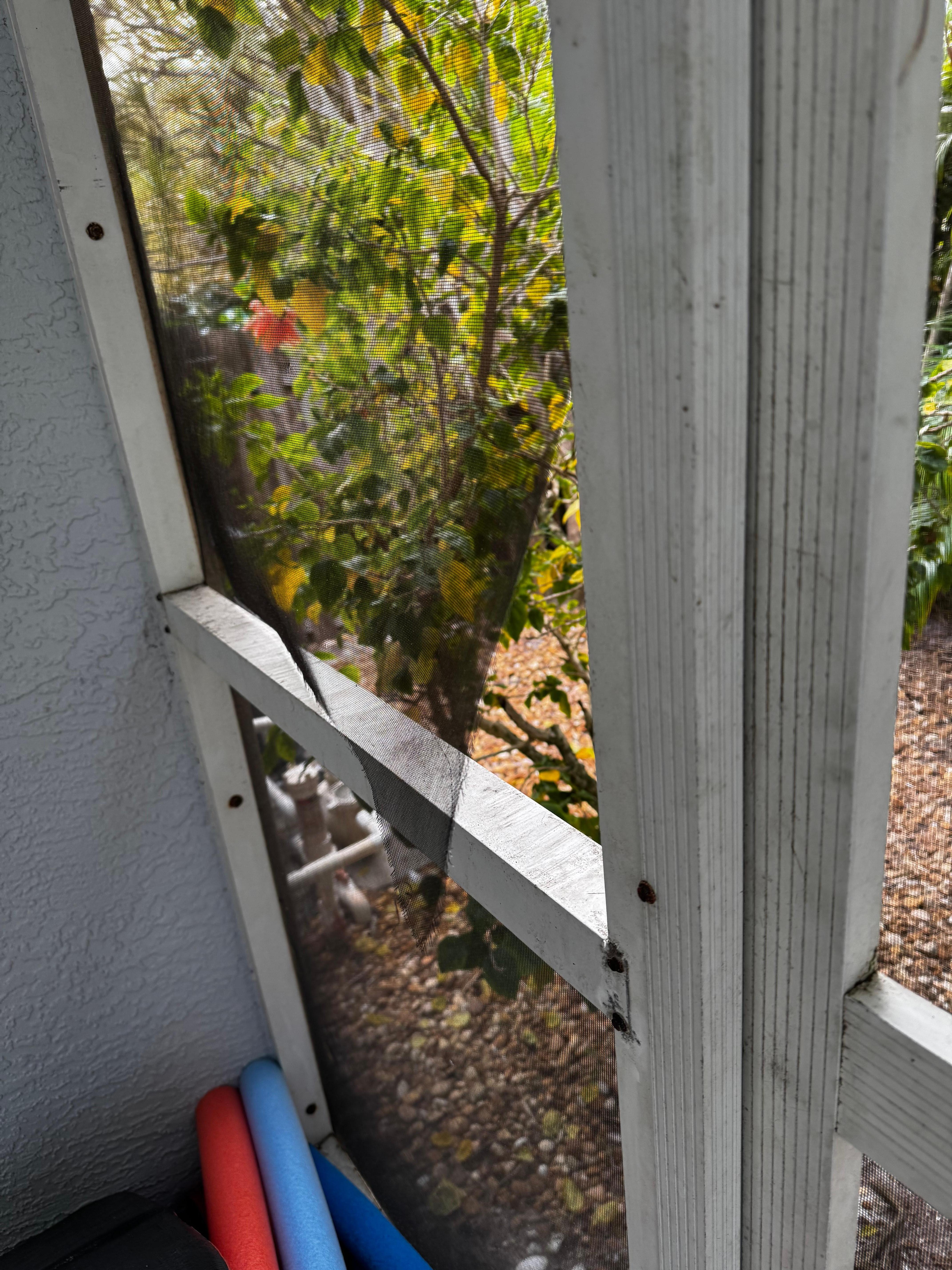 One of many rips in the lanai 