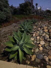 The lush life on the outside of the resort and spa