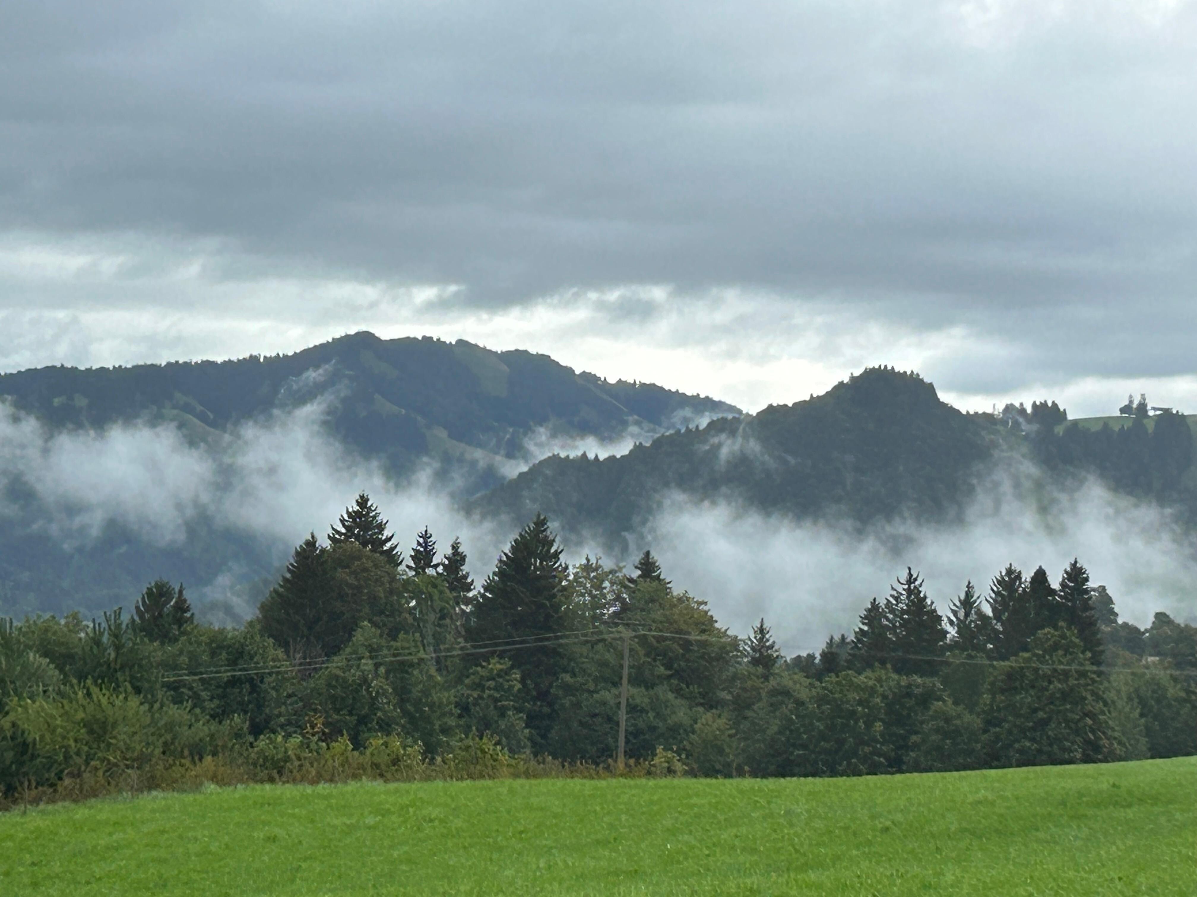 Uitzicht in de ochtend vanuit appartement. 