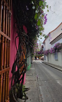 Street outside entrance