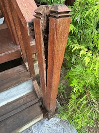 Bois vermoulu