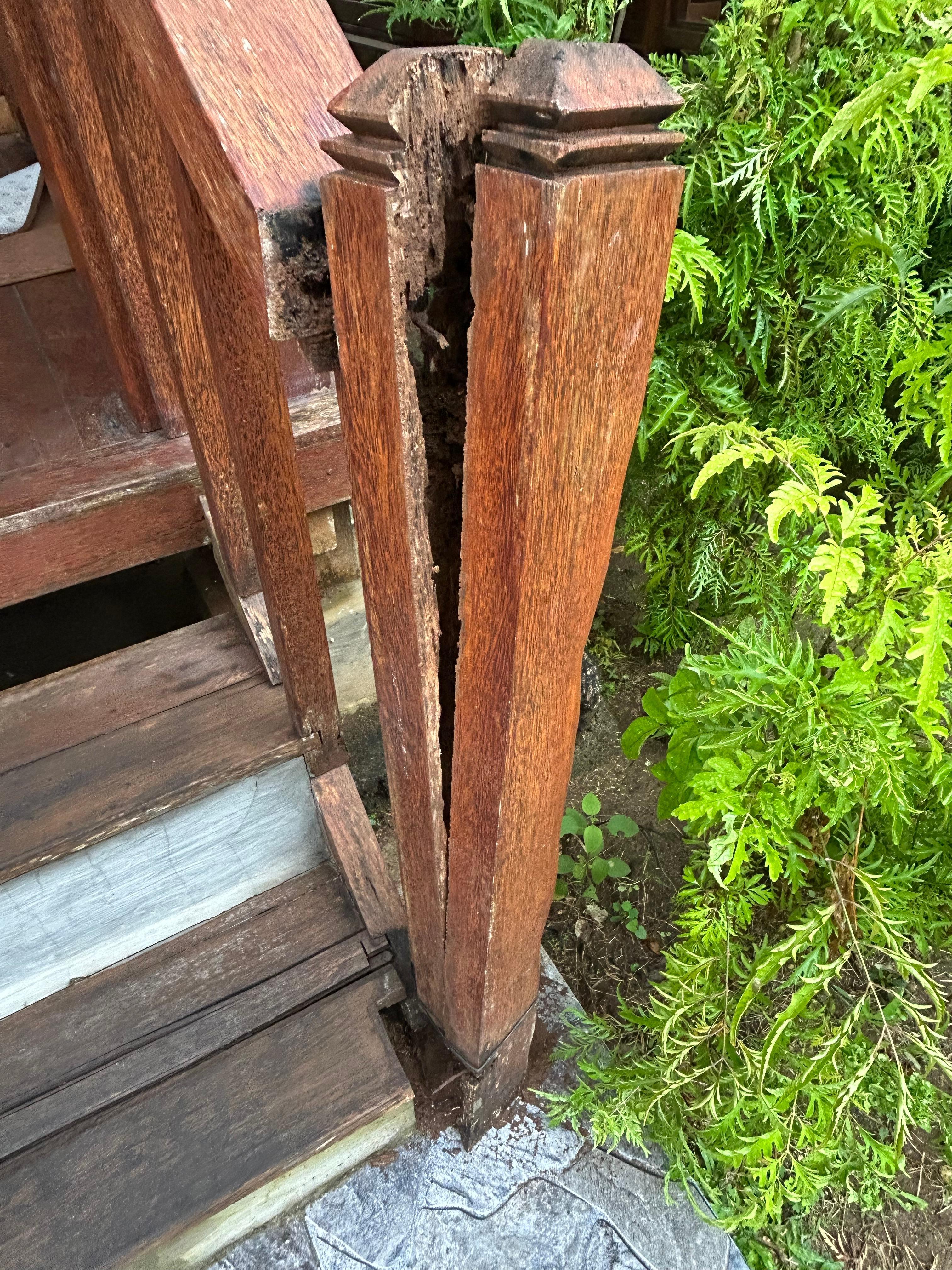 Bois vermoulu 