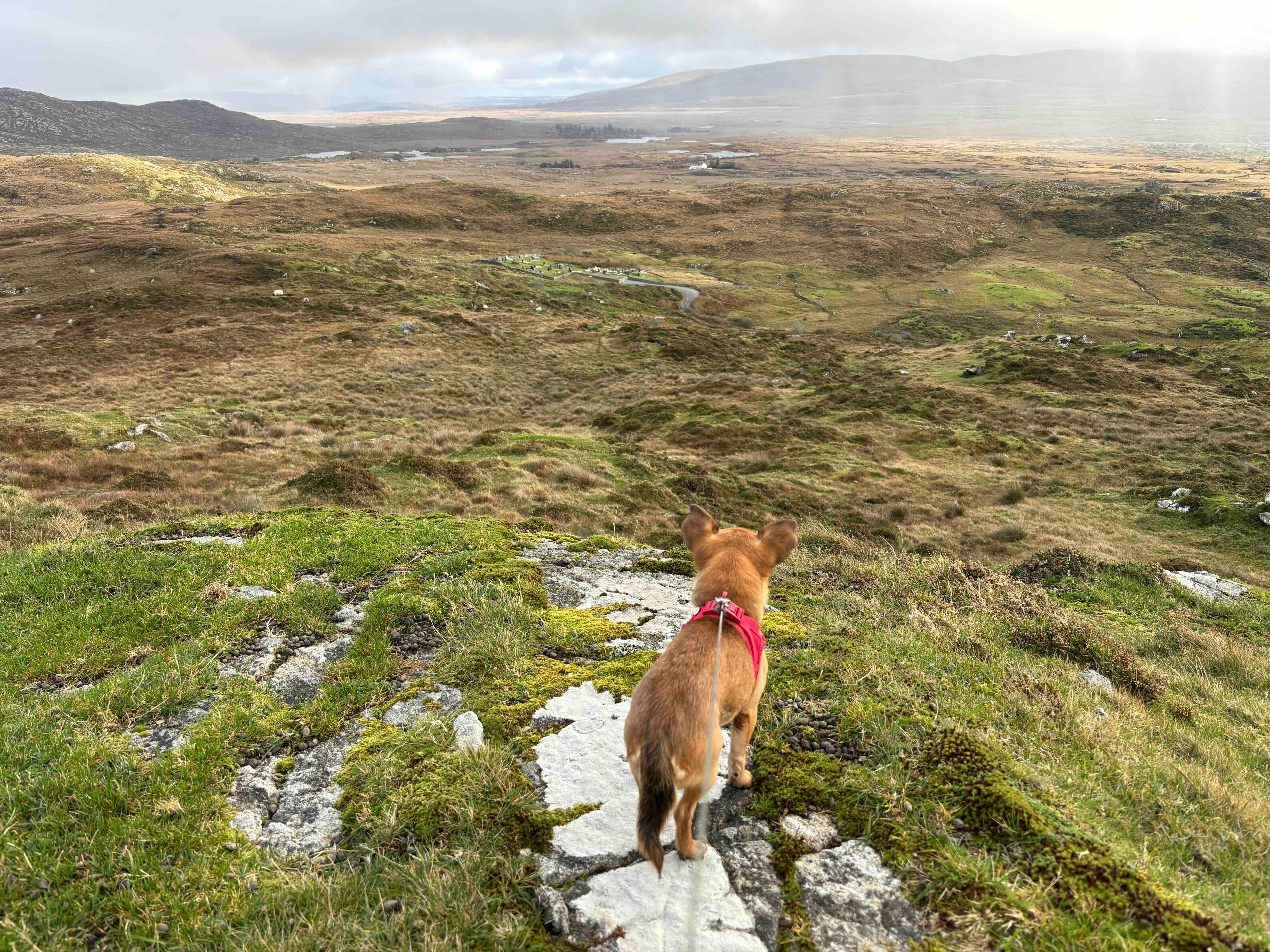 The Bens above Cashel