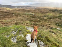 The Bens above Cashel