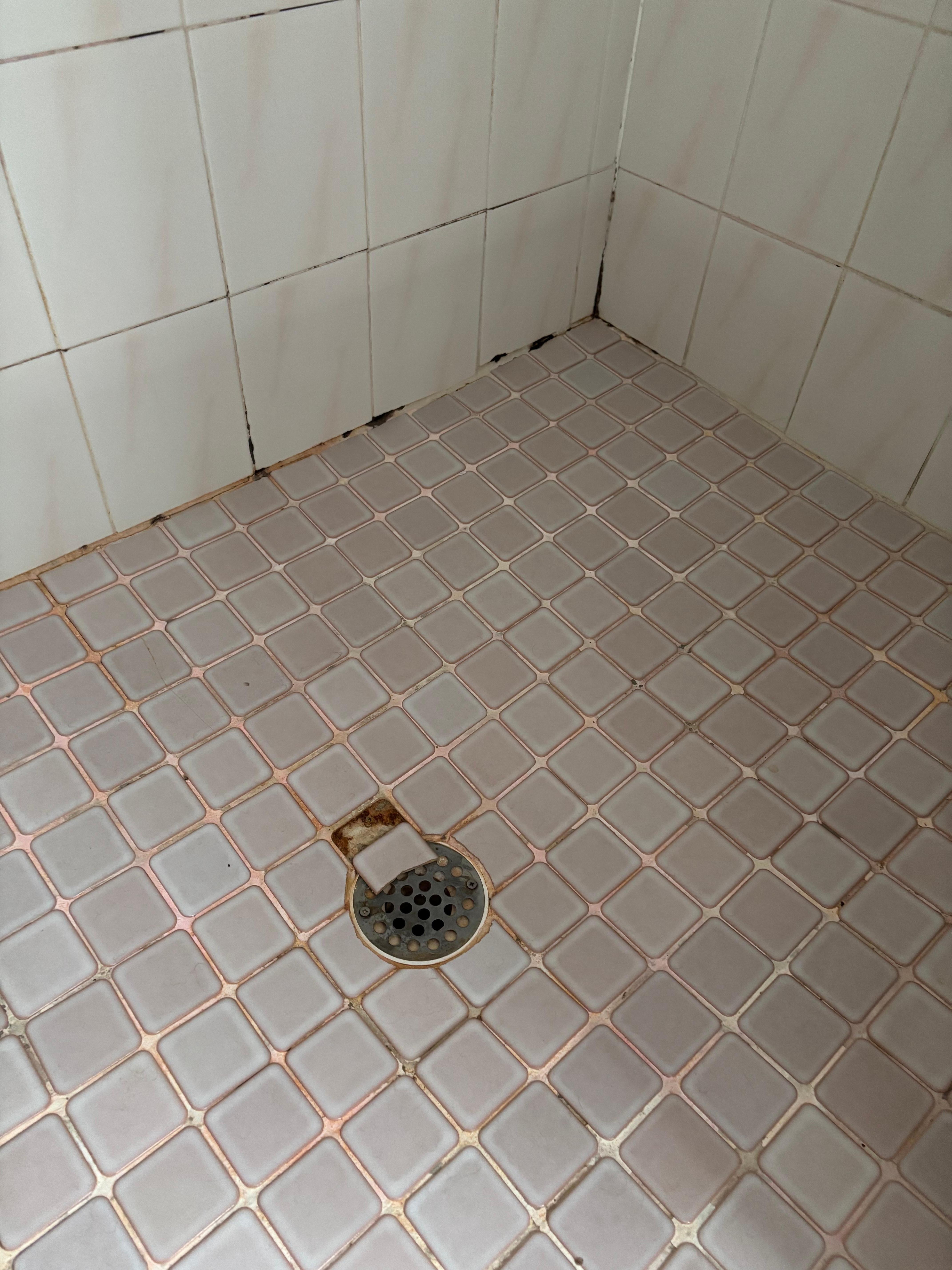 Mold in corner and loose tile