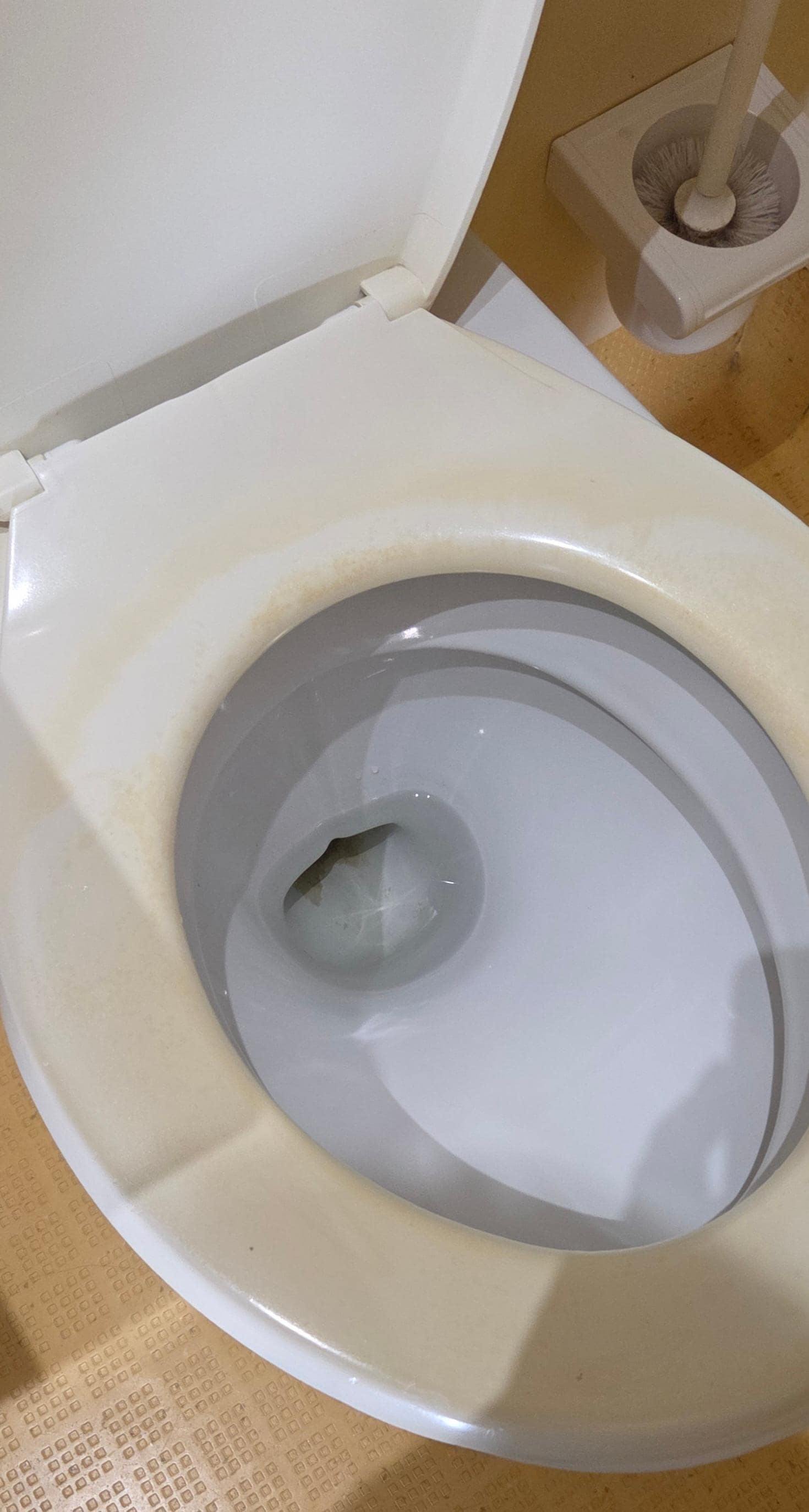 Ekelhafter Toilettensitz