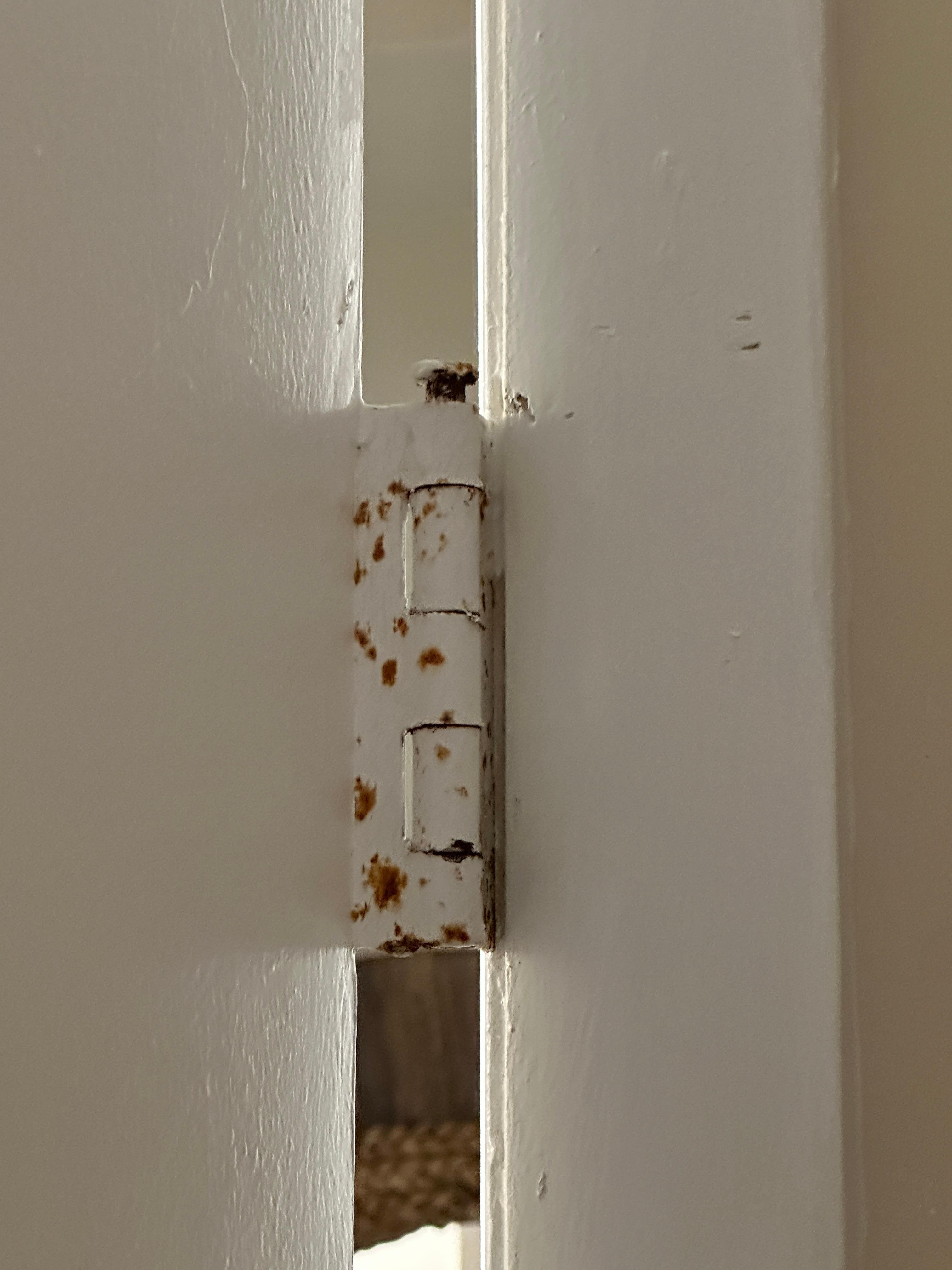 The door hinges were rusted and appeared to have been painted over, with rust still visible through the paint
