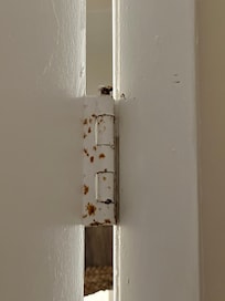 The door hinges were rusted and appeared to have been painted over, with rust still visible through the paint