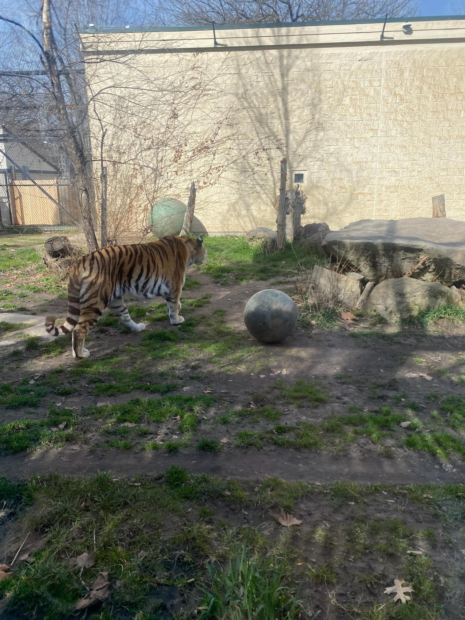 Boise Zoo