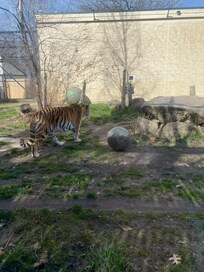 Boise Zoo
