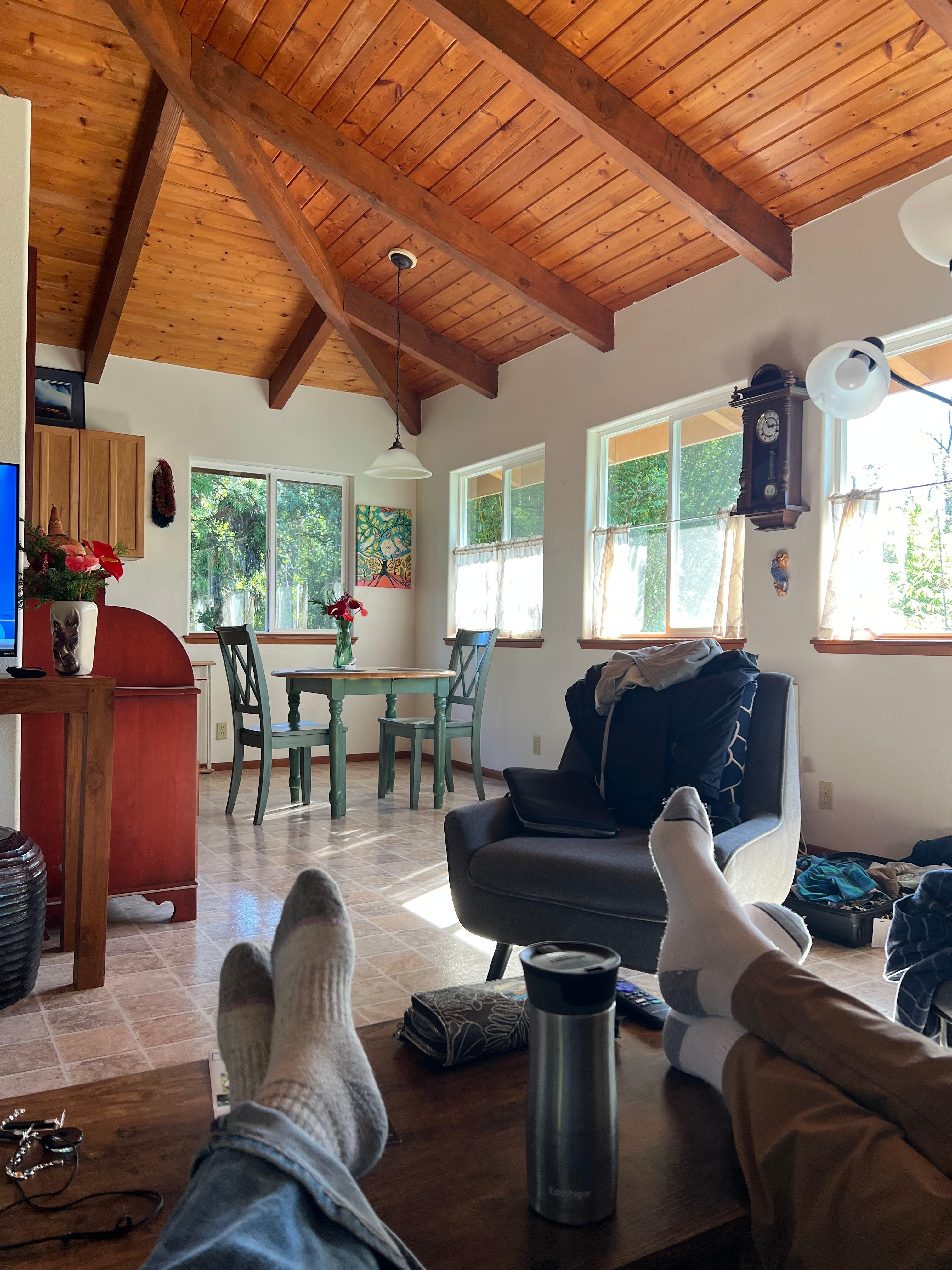 Mid day break between hikes at the park - lovely natural light 