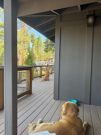 Front deck